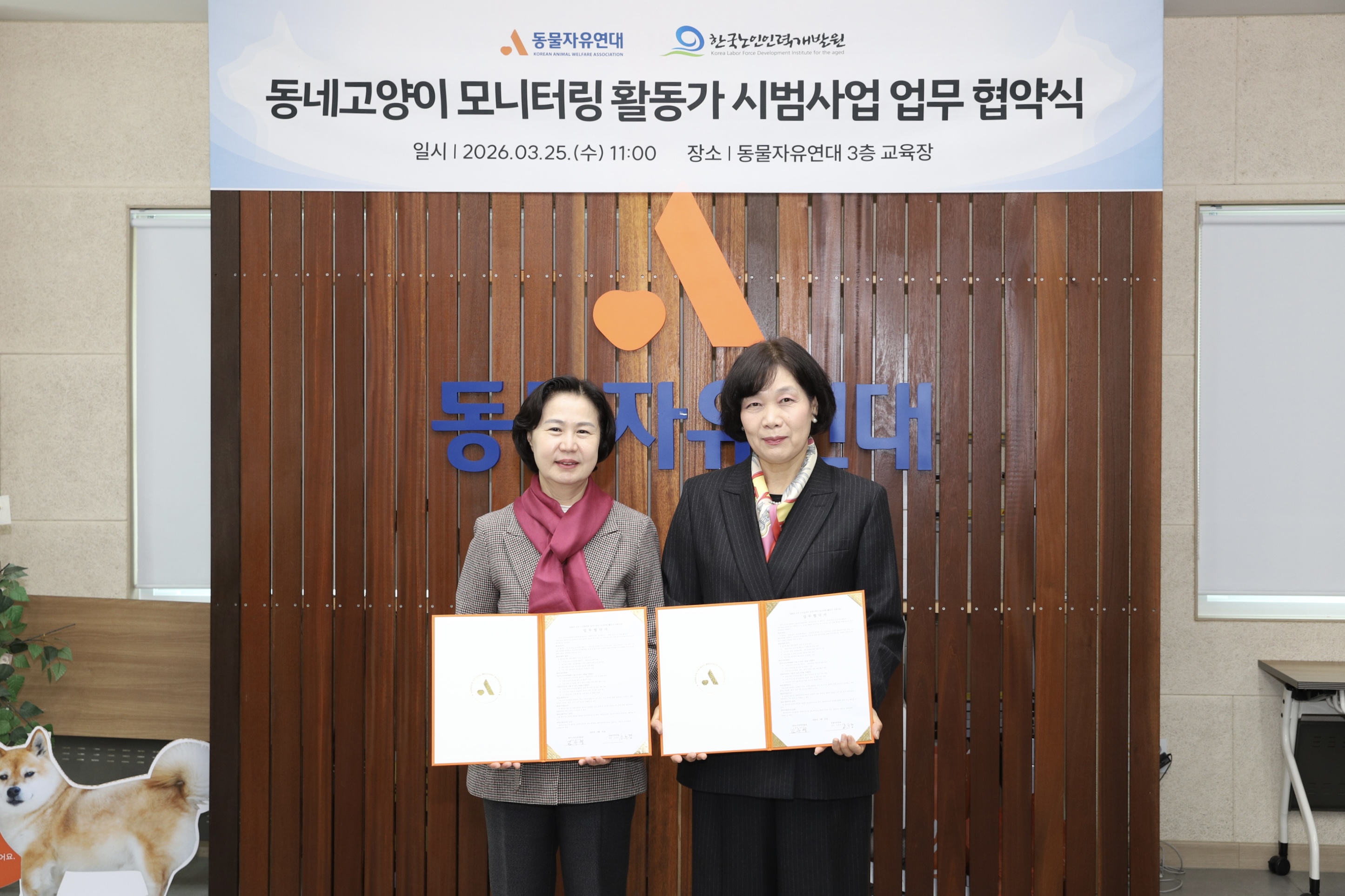 노인일자리로 길고양이 관리 나선다... 인천 ‘동네 고양이 모니터링 활동가’ 첫 도입